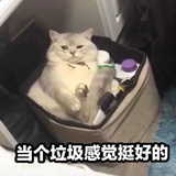 星期五的白天
