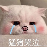 豆友174896523