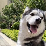 肖申克的舅舅