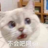 云端漫步