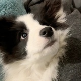 龙须酥