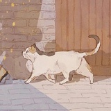 闲时偷猫