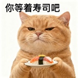 鑫鑫鑫鑫