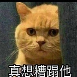 蒸煮（喜羊羊）