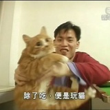 今日开始崆峒