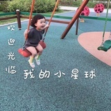 雪梨