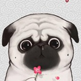 邂逅斯年