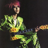 Hide
