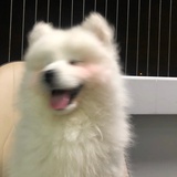 白糖芋头