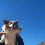 想你