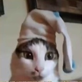 增增瓦嘎耐