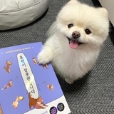炊事班掌厨