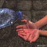 圣诞结