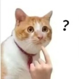我要整个大的了
