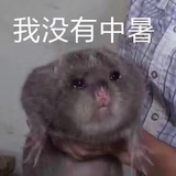 有人