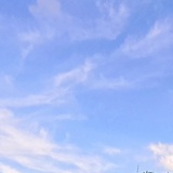 雨七