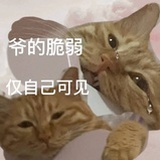 callmeMax