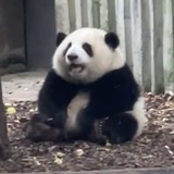 旧烛火