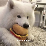 歪歪歪y(