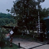 疯批cpf都去死