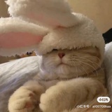 享受生活
