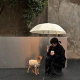 小黄豆