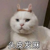 悠长假期