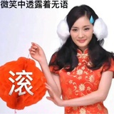 文人也是怒了