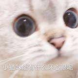 噗噗噗