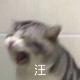 明天吃炸鸡