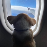 whereareyounow