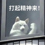 好运连连