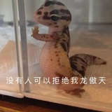 信子