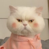 已注销