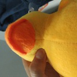 郭劲