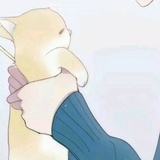 笨鸟要努力