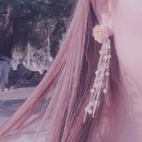 橙子🍊