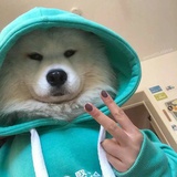 今天看海了吗