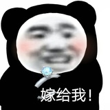 哈人战地记者