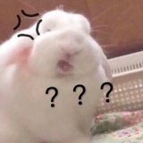 人类代表石飞侠