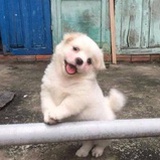 已注销
