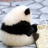 苏铭