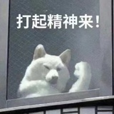撒哈拉海