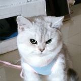 人间缺德er