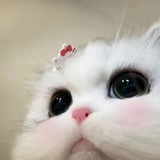 海边聆听