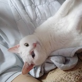 豆芽菜