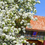玉门关