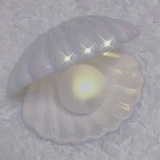 莫妮卡