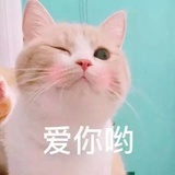 扶苏