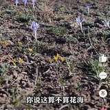 一个游魂